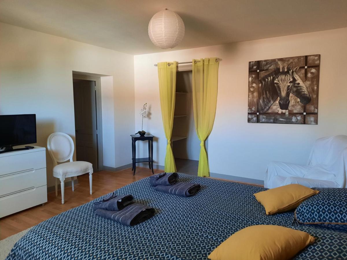 Grand Appartement Tout Confort Proche De Chambord Saint-Claude-de-Diray Bagian luar foto