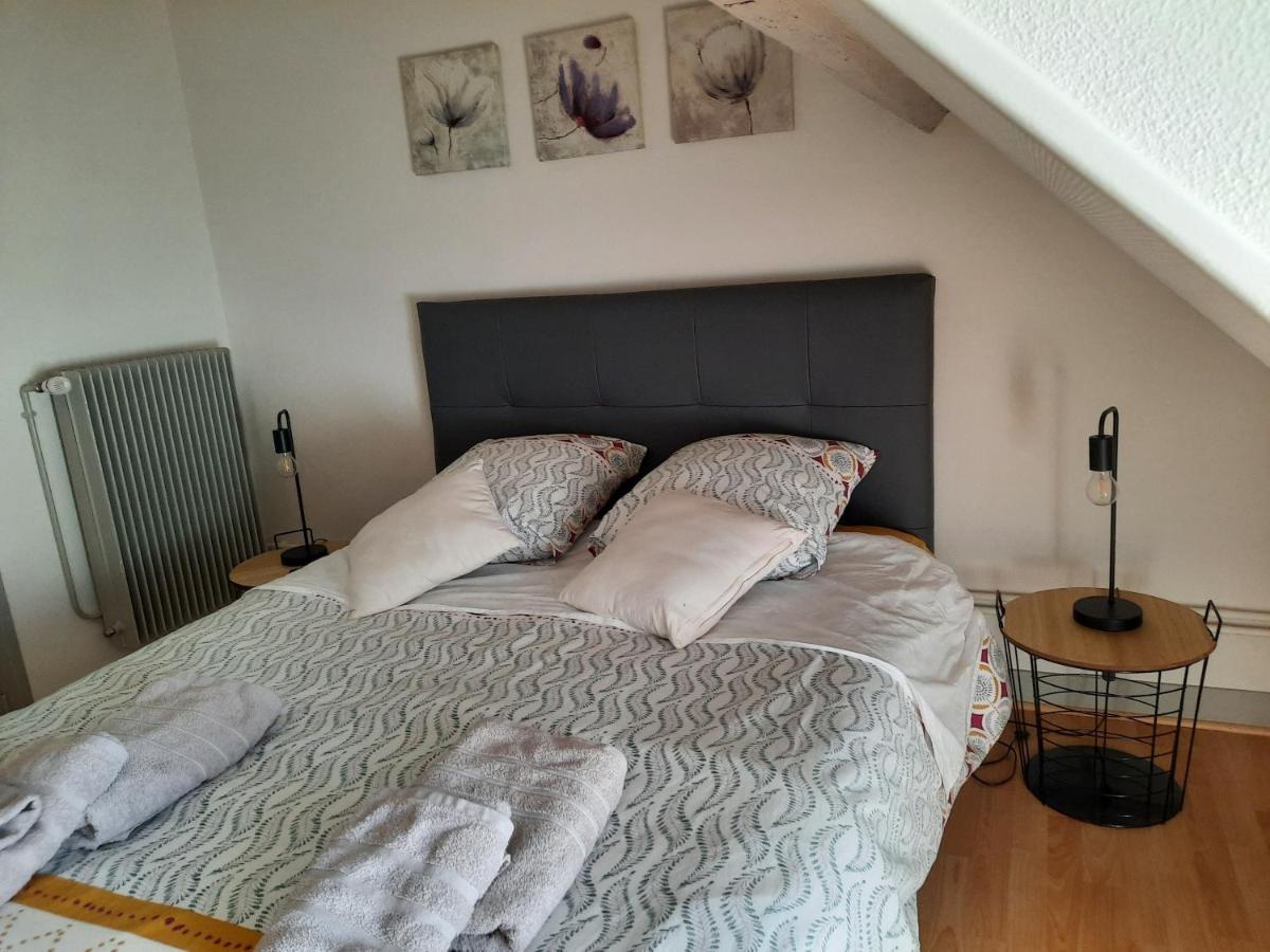 Grand Appartement Tout Confort Proche De Chambord Saint-Claude-de-Diray Bagian luar foto